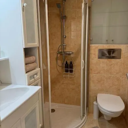 公寓 La Parenthese Millavoise