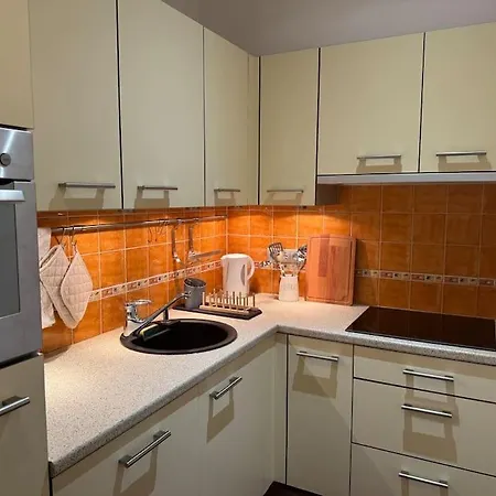 公寓 La Parenthese Millavoise 米洛